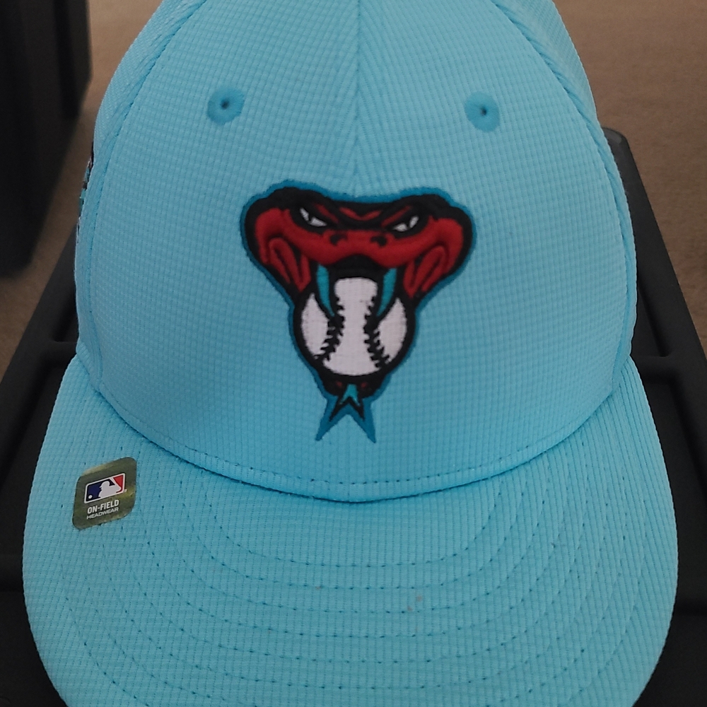 Arizona D-back 2025 Spring Training Hat